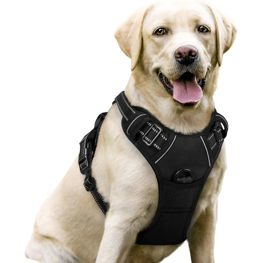 rabbitgoo No-Pull Dog Harness with Reflective Trim (Black)