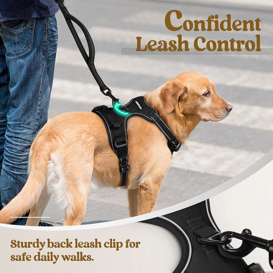 rabbitgoo No-Pull Dog Harness with Reflective Trim (Black)