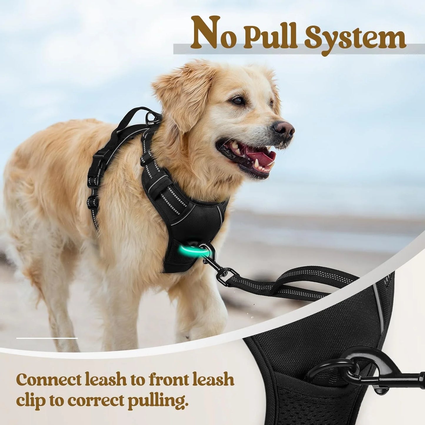 rabbitgoo No-Pull Dog Harness with Reflective Trim (Black)
