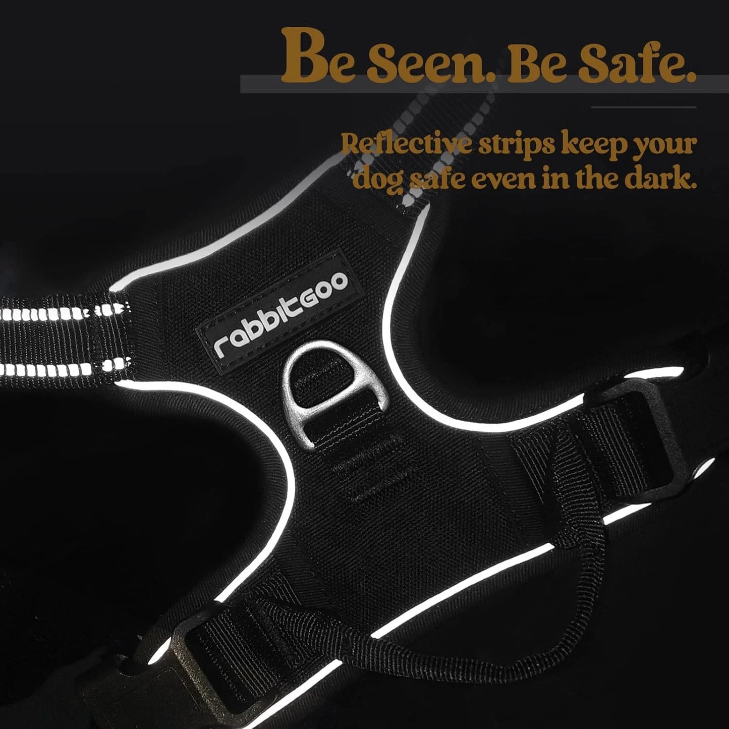 rabbitgoo No-Pull Dog Harness with Reflective Trim (Black)
