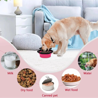 Collapsible 2-in-1 Portable Travel Dog Bowls with Carabiner