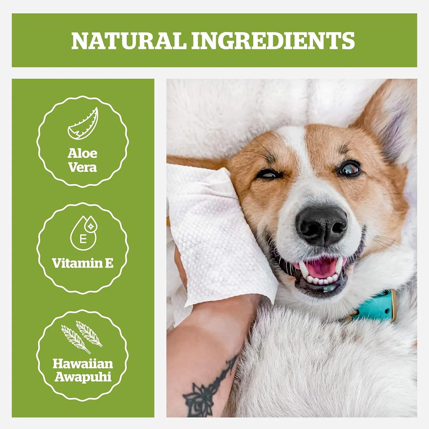 Pogi's Pet Supplies Grooming Wipes, Fragrance Free, 100 Count