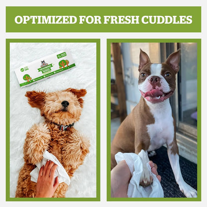 Pogi's Pet Supplies Grooming Wipes, Fragrance Free, 100 Count