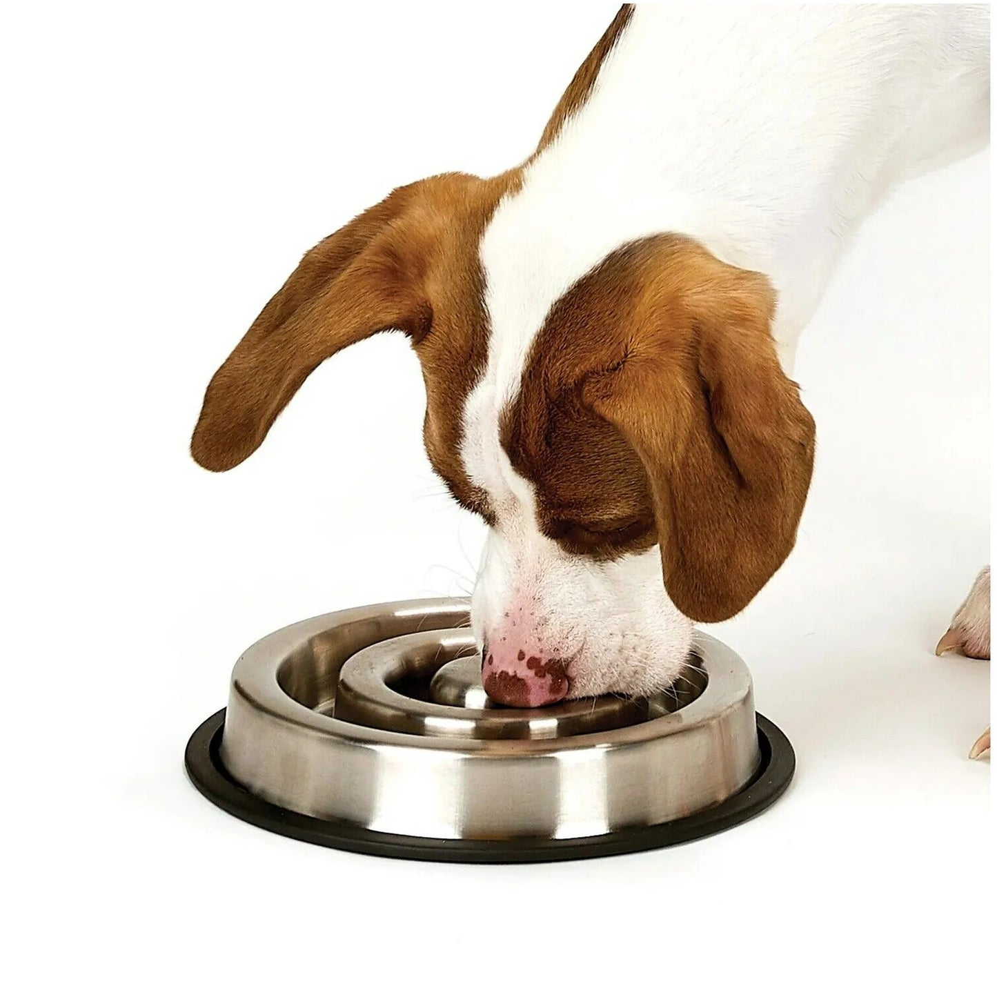 Stainless Steel Heavy Duty Slow Feeder Dog Bowl, Anti-Slip (Large)