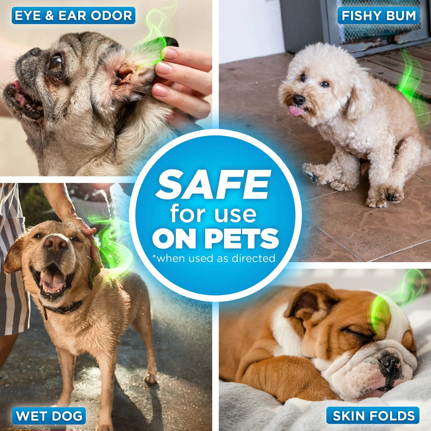 Pooph Pet Odor Eliminator Spray, Fragrance Free (3 Pack, 20 oz)
